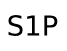 Работни обувки S1P